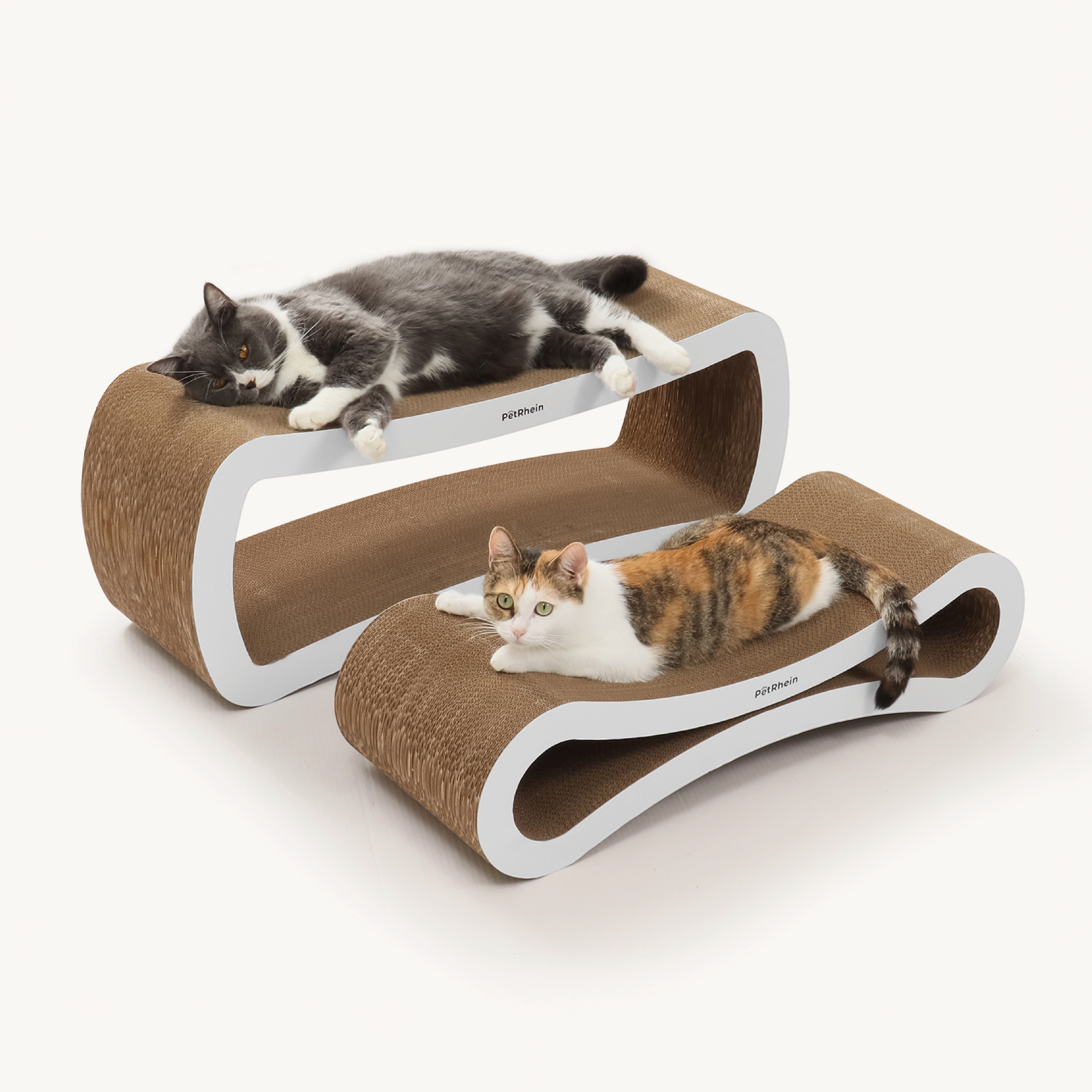 Serie Ascent Paw
