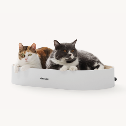 Serie Zen Paw 