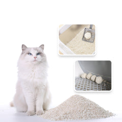 Catsplan avanzato 