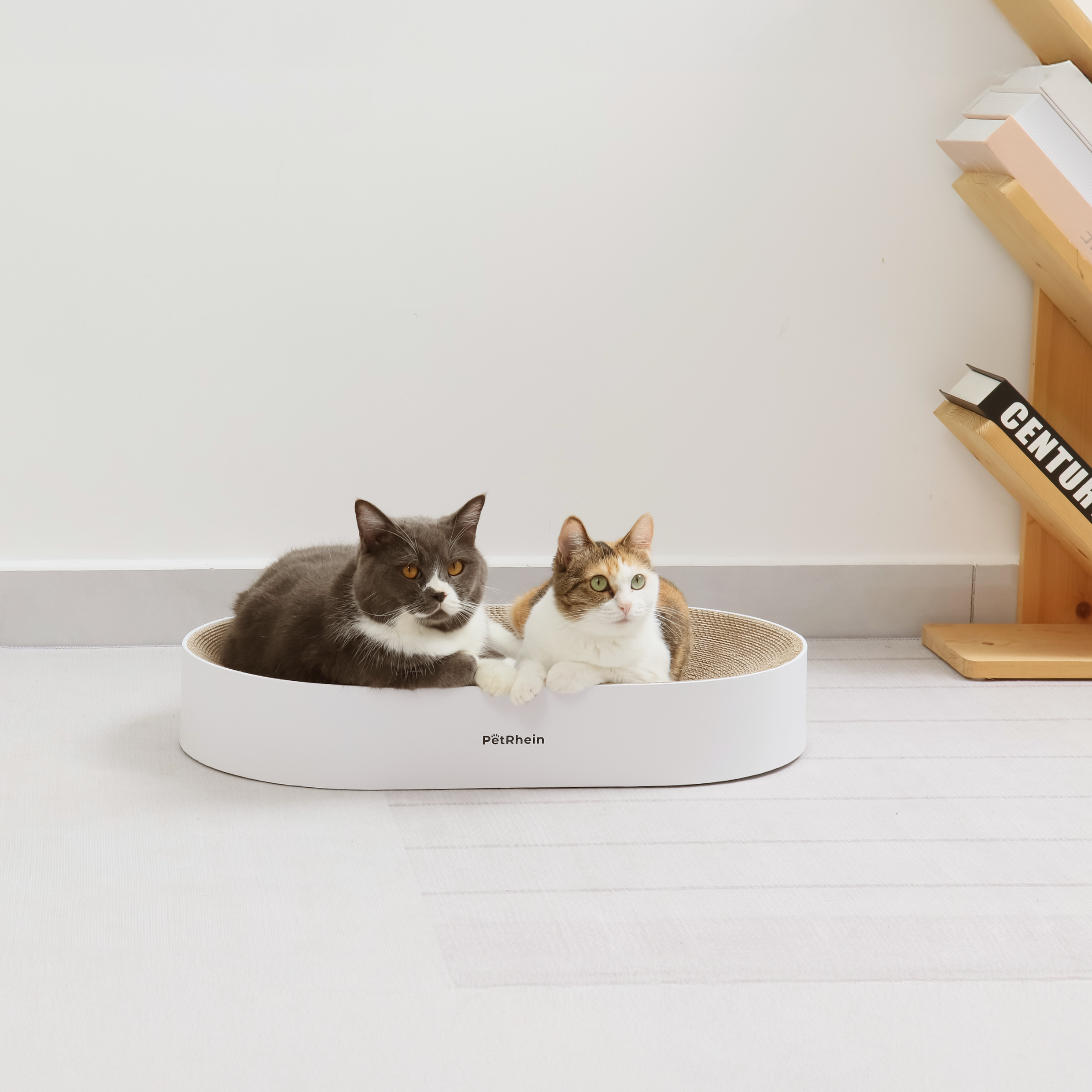Serie Zen Paw 
