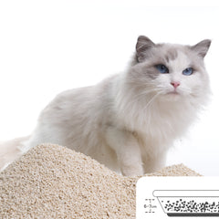 Catsplan original 